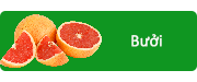 Bưởi