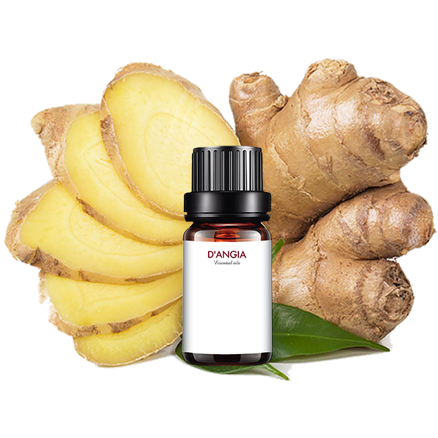 Ginger Essential Oil